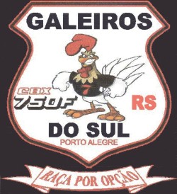 Galeiros do Sul - Raça por Opção - Porto Alegre - RS